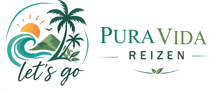 logo lets go pura vida